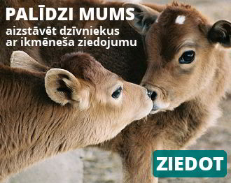 Palīdzi mums aizstāvēt dzīvniekus