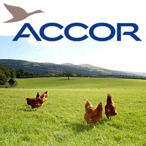 accor atsakās no sprostu olām