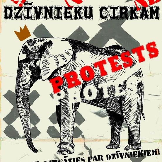 Protests pret dzīvnieku cirku